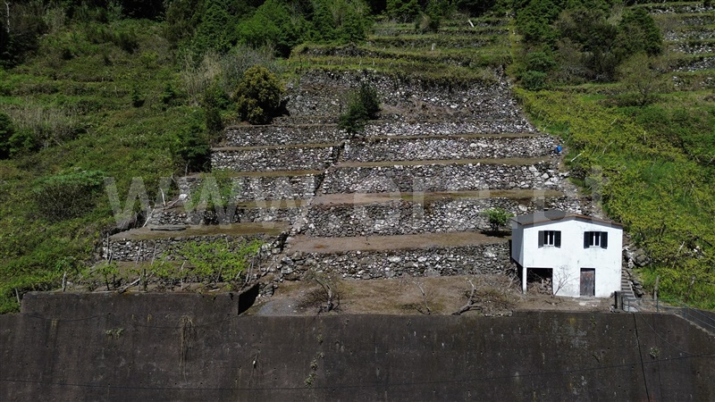 Terreno / São Vicente, Boa Ventura