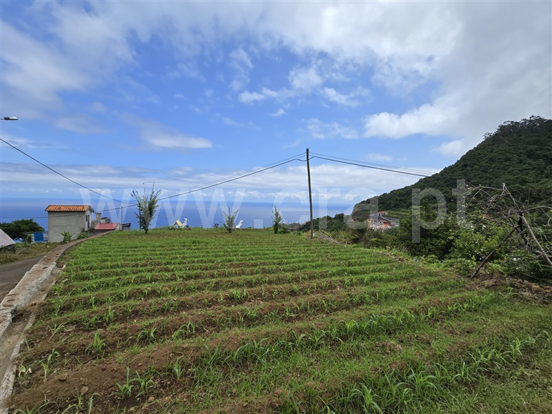 Terreno / São Vicente, Ponta Delgada