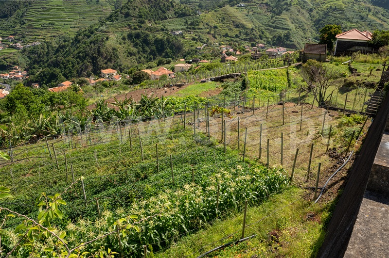 Terreno  São Vicente - 1314177 - 7