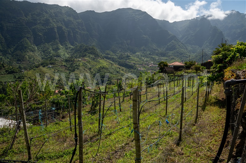 Terreno  São Vicente - 1314177 - 13