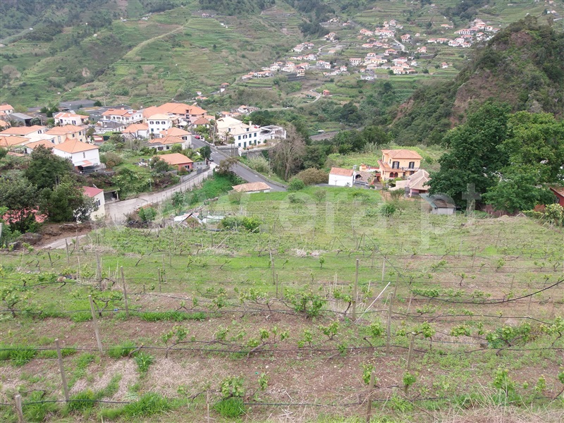 Terreno Rústico  São Vicente - 910011 - 7