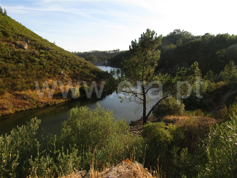 Terreno / Sardoal, Alcaravela