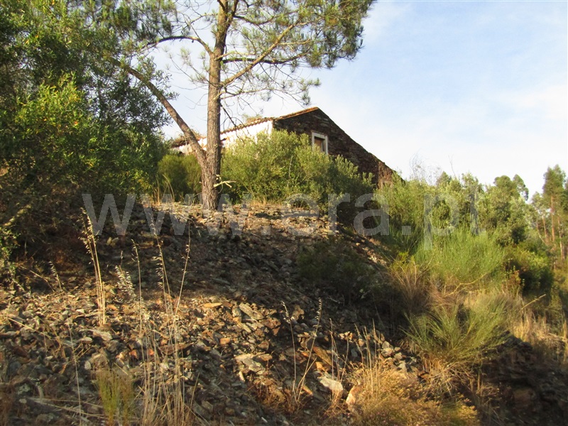 Terreno  Sardoal, Alcaravela - 1191945 - 6