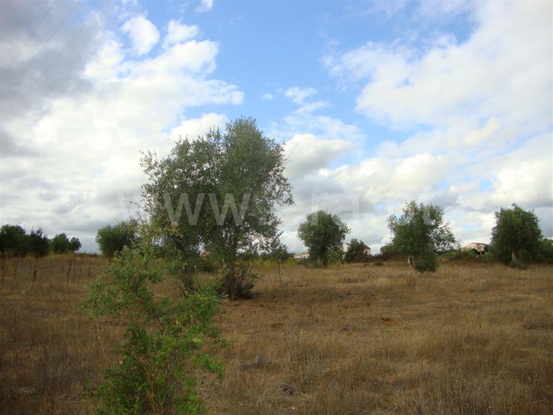 Terreno  Sardoal, Valhascos - 476382 - 4