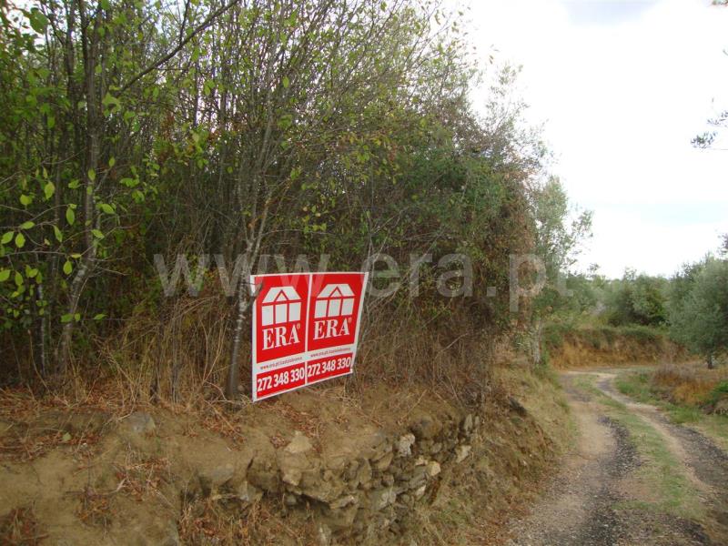 Terreno / Sardoal, Valhascos