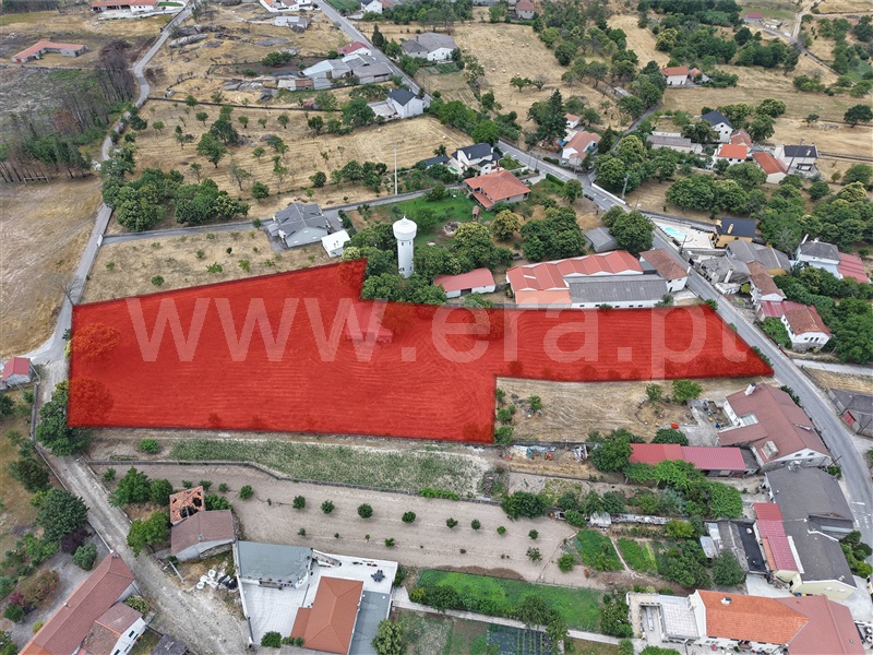 Terreno / Sátão, Águas Boas e Forles