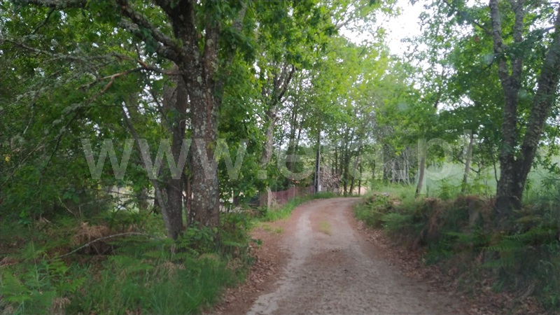 Terreno  Sátão, Ferreira de Aves - 1249069 - 18