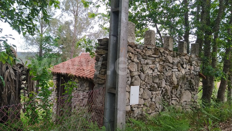 Terreno / Sátão, Ferreira de Aves