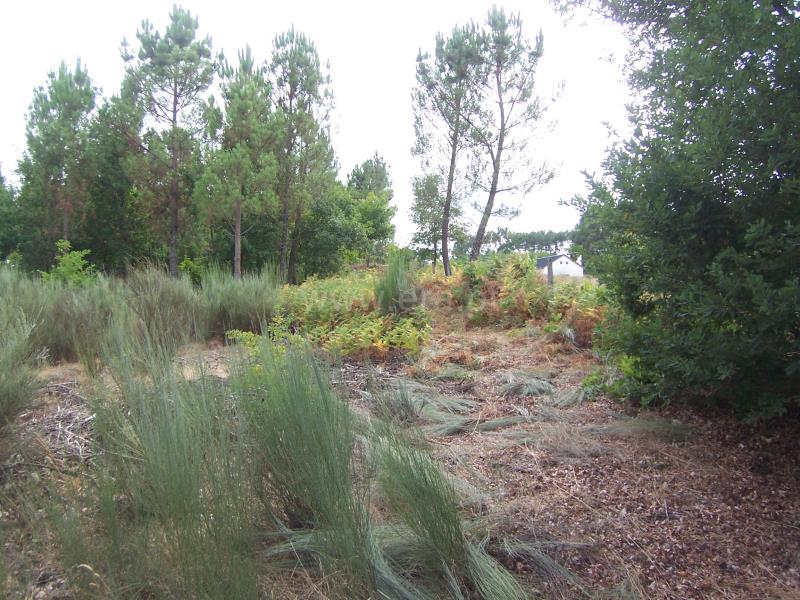 Terreno  Sátão, Ferreira de Aves - 675236 - 12