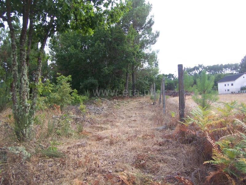Terreno  Sátão, Ferreira de Aves - 675236 - 11