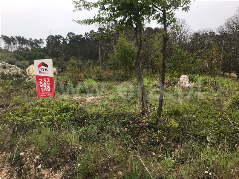 Terreno / Sátão, Lages