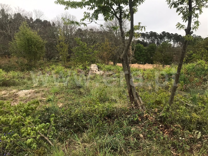 Terreno  Sátão, Lages - 1324056 - 4