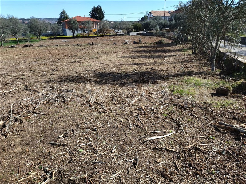 Terreno  Sátão, Romãs, Decermilo e Vila Longa - 1227556 - 4