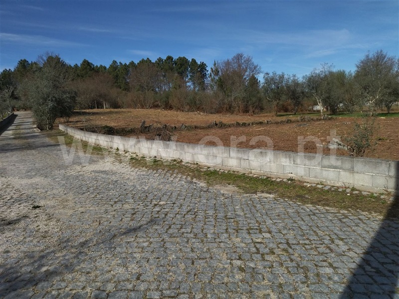 Terreno  Sátão, Romãs, Decermilo e Vila Longa - 1227556 - 6