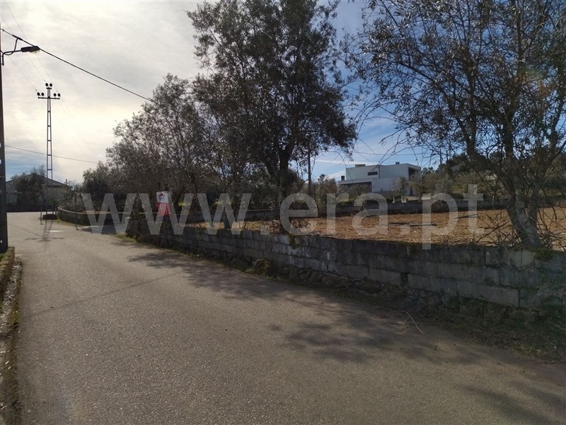 Terreno  Sátão, Romãs, Decermilo e Vila Longa - 1227556 - 7