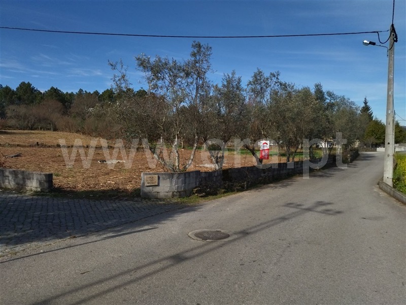 Terreno / Sátão, Romãs, Decermilo e Vila Longa