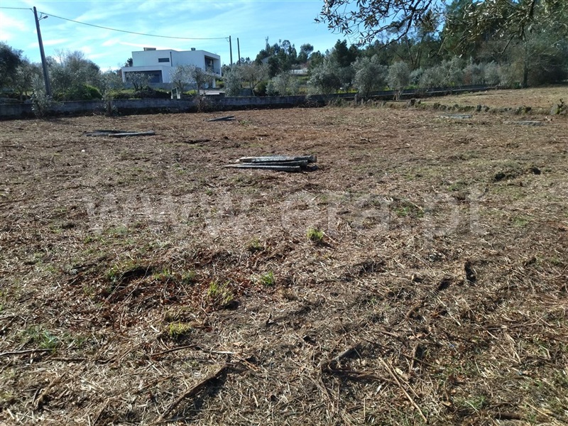 Terreno  Sátão, Romãs, Decermilo e Vila Longa - 1227556 - 9
