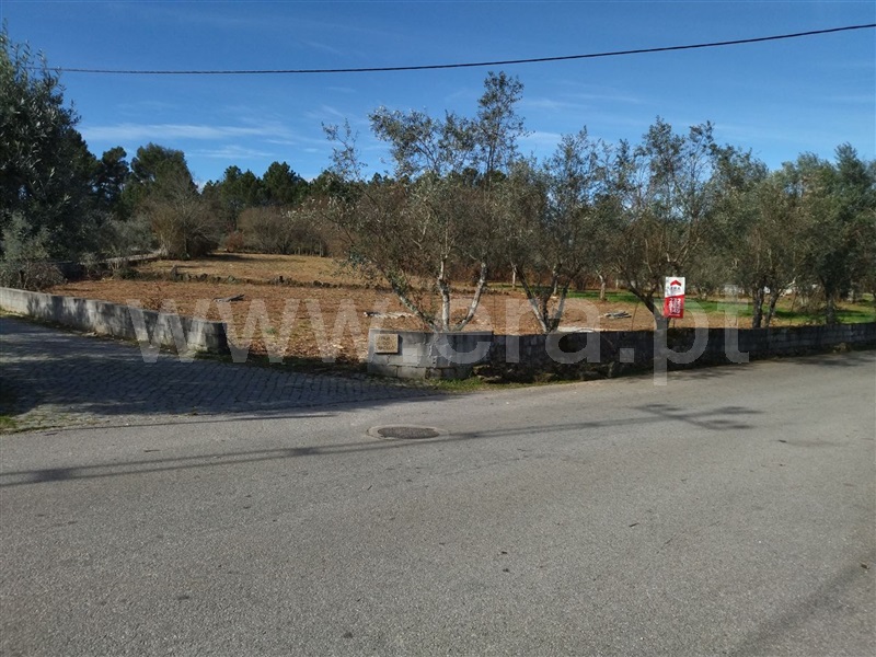 Terreno  Sátão, Romãs, Decermilo e Vila Longa - 1227556 - 10