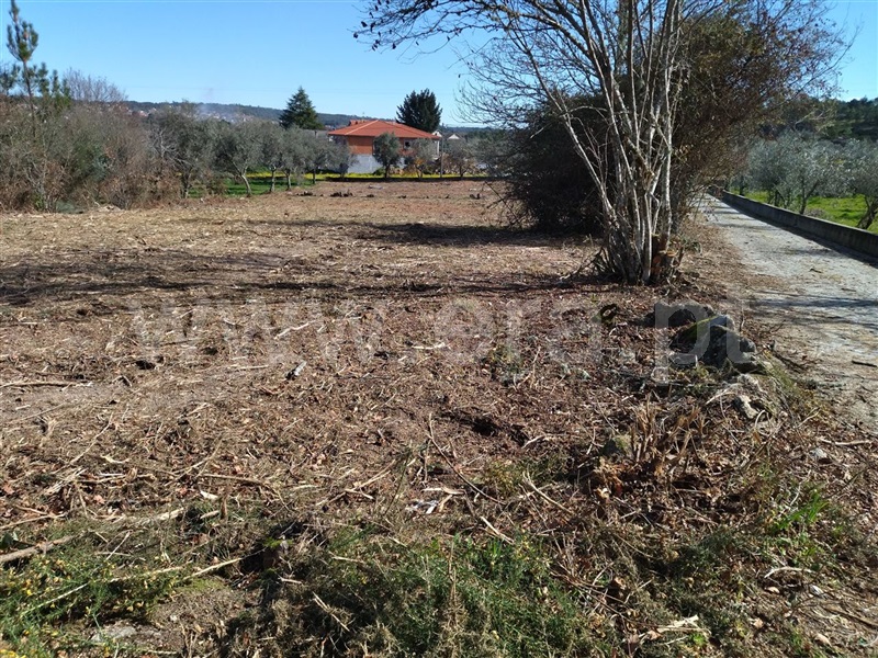 Terreno  Sátão, Romãs, Decermilo e Vila Longa - 1227556 - 8
