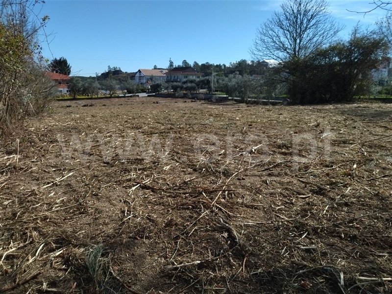 Terreno  Sátão, Romãs, Decermilo e Vila Longa - 1227556 - 9