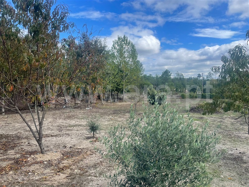 Terreno  Sátão, Romãs, Decermilo e Vila Longa - 1435314 - 3