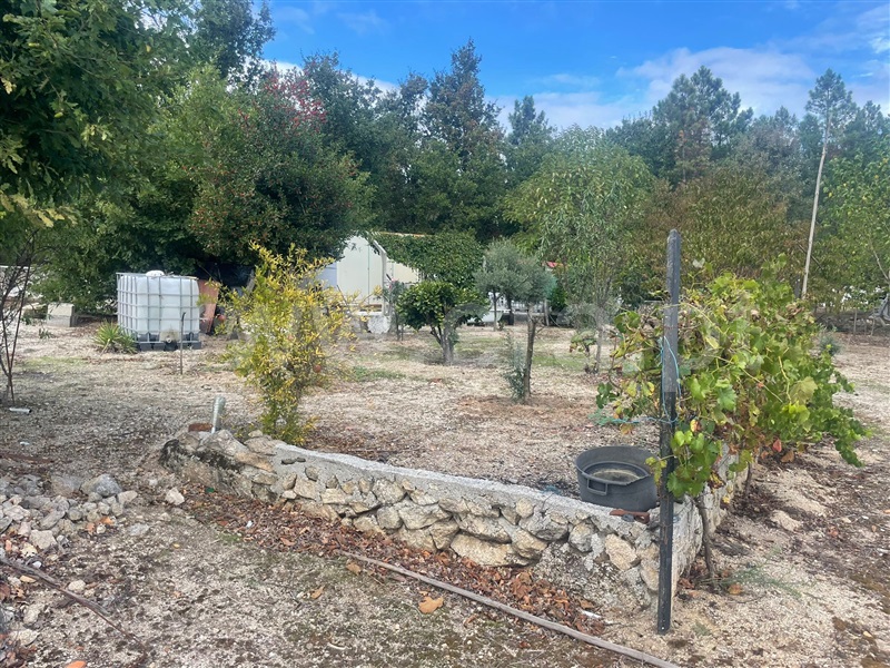 Terreno  Sátão, Romãs, Decermilo e Vila Longa - 1435314 - 5