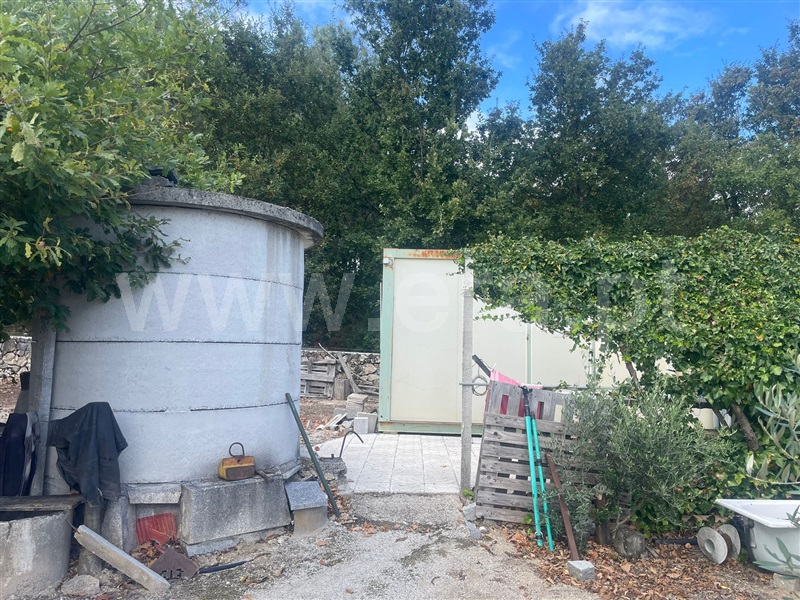 Terreno  Sátão, Romãs, Decermilo e Vila Longa - 1435314 - 6