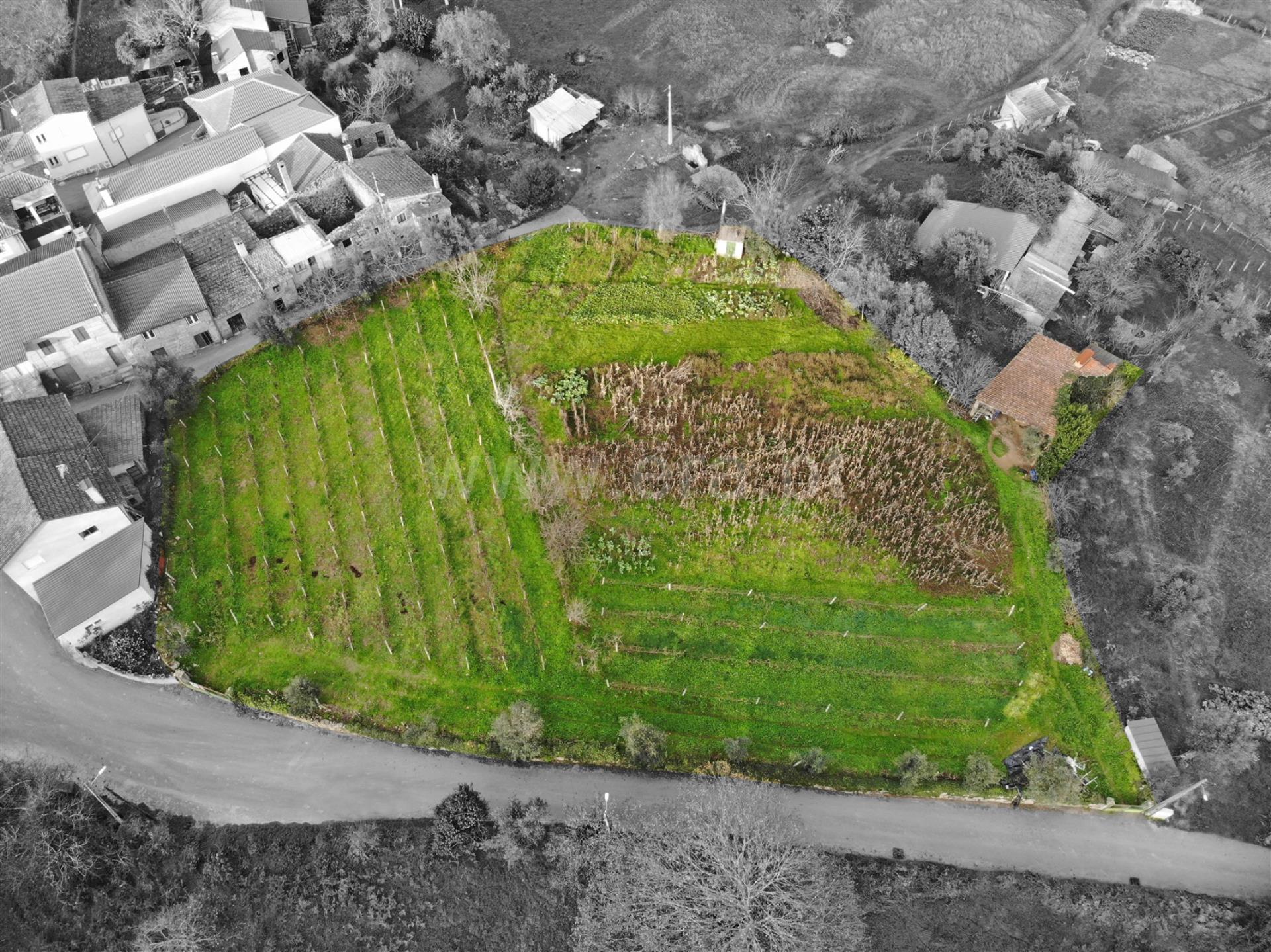 Terreno em Sátão