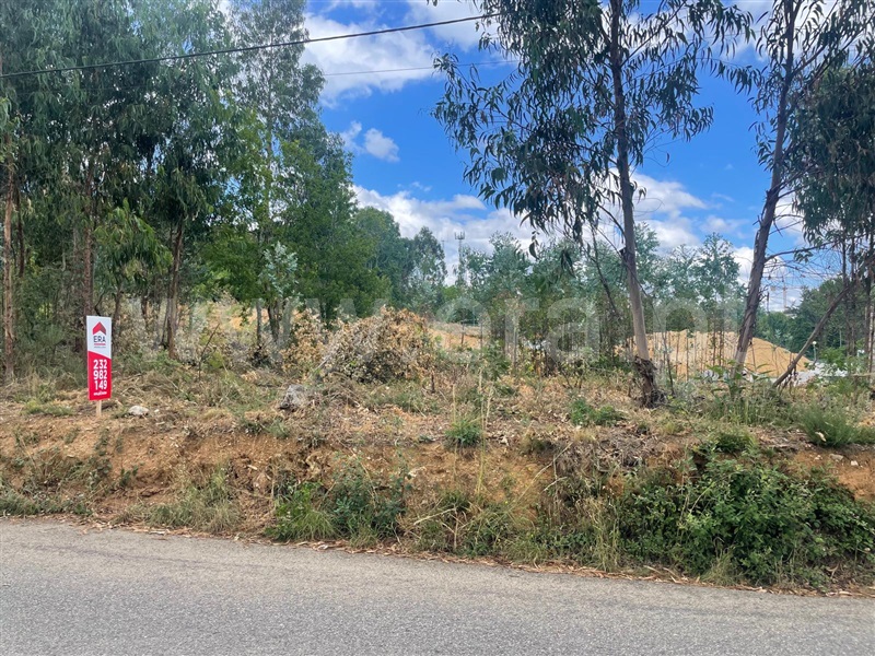 Terreno / Sátão, Sátão