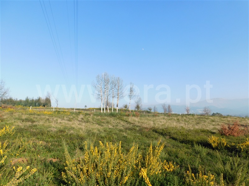Terreno  Seia, Carragozela - 1075166 - 4