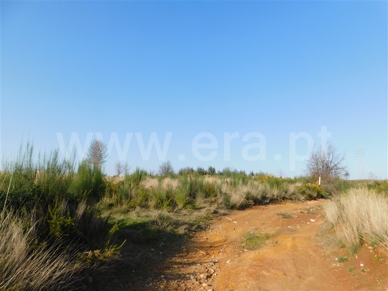 Terreno  Seia, Carragozela - 1075166 - 7