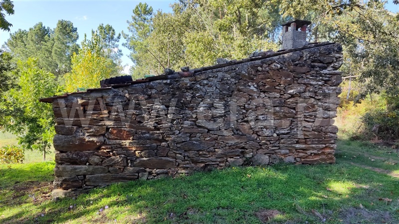 Terreno  Seia, Carragozela e Várzea de Meruge - 1281579 - 1