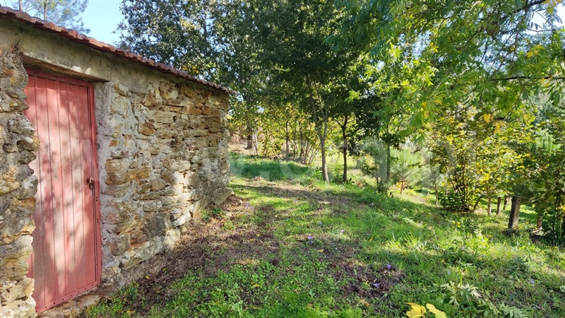 Terreno  Seia, Carragozela e Várzea de Meruge - 1281579 - 2