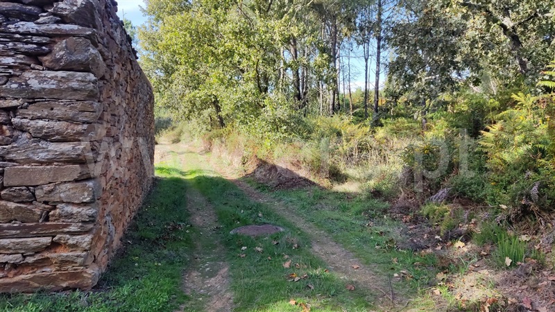 Terreno  Seia, Carragozela e Várzea de Meruge - 1281579 - 7