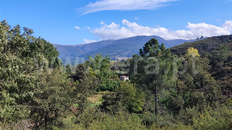 Terreno  Seia, Carragozela e Várzea de Meruge - 1281579 - 13
