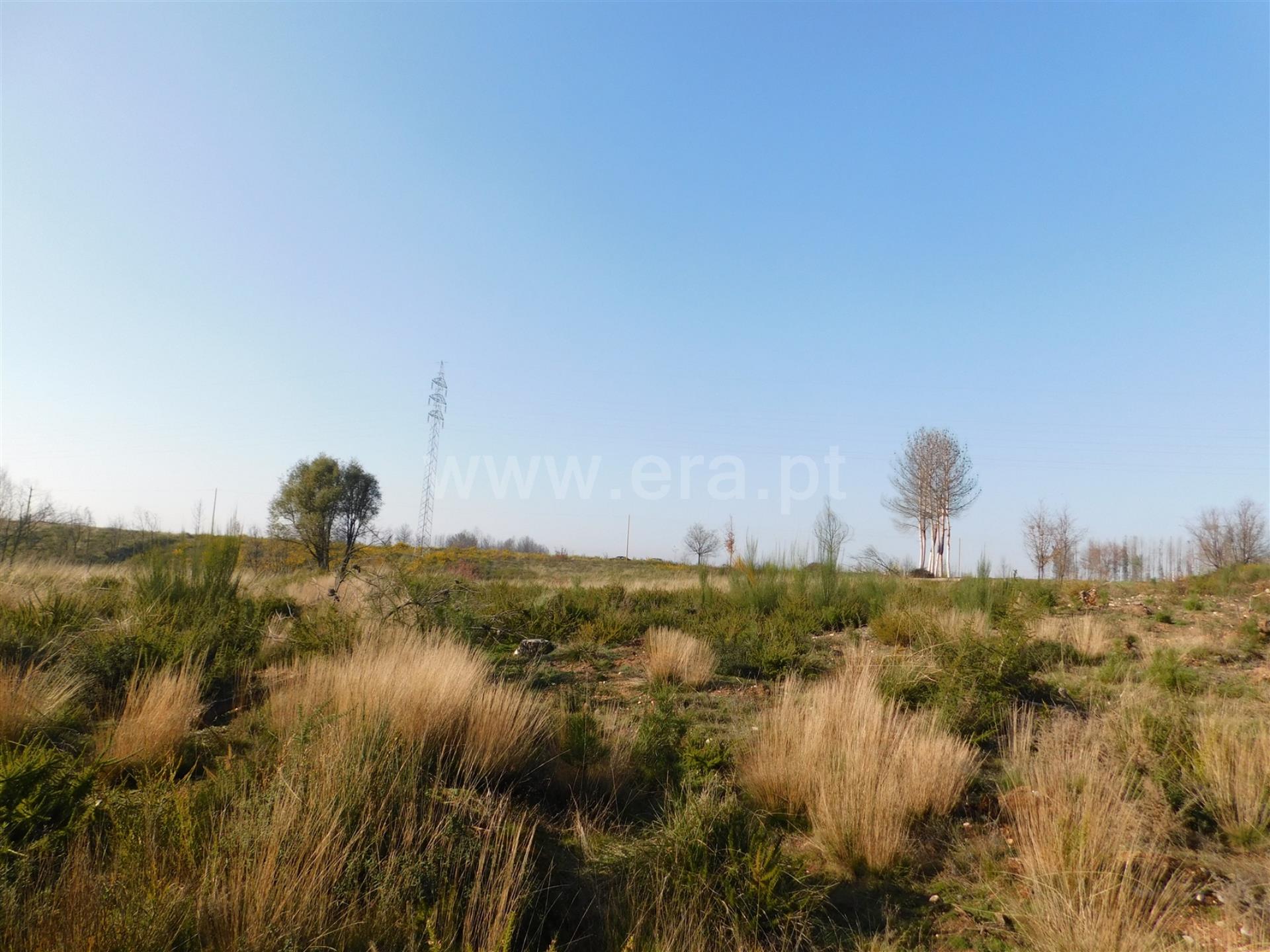 Terreno