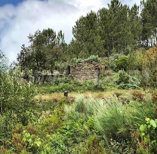 Terreno  Seia, Loriga - 1396954 - 14