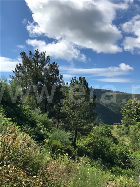Terreno  Seia, Loriga - 1396954 - 13
