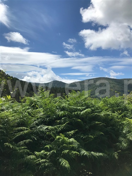 Terreno  Seia, Loriga - 1396954 - 14