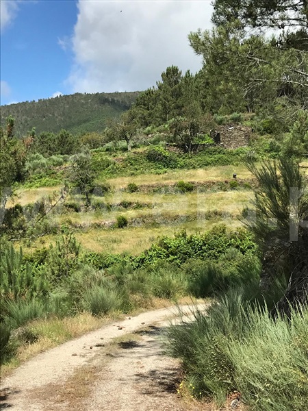 Terreno  Seia, Loriga - 1396954 - 16