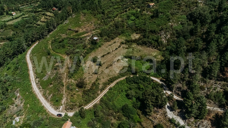 Terreno / Seia, Loriga