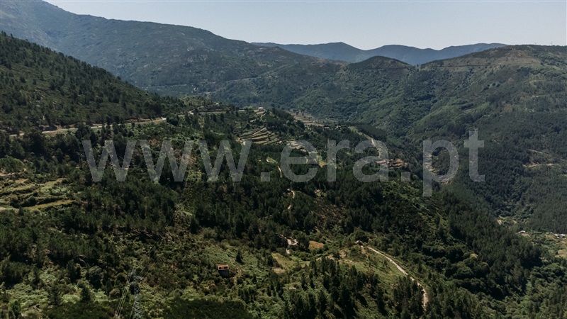 Terreno  Seia, Loriga - 1396954 - 10