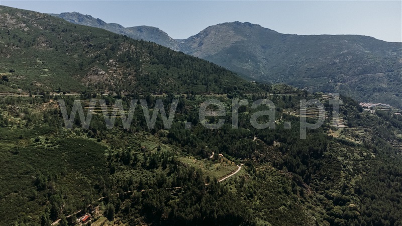 Terreno  Seia, Loriga - 1396954 - 11
