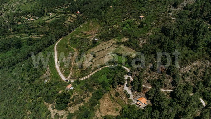 Terreno  Seia, Loriga - 1396954 - 15