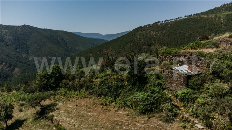 Terreno  Seia, Loriga - 1396954 - 17