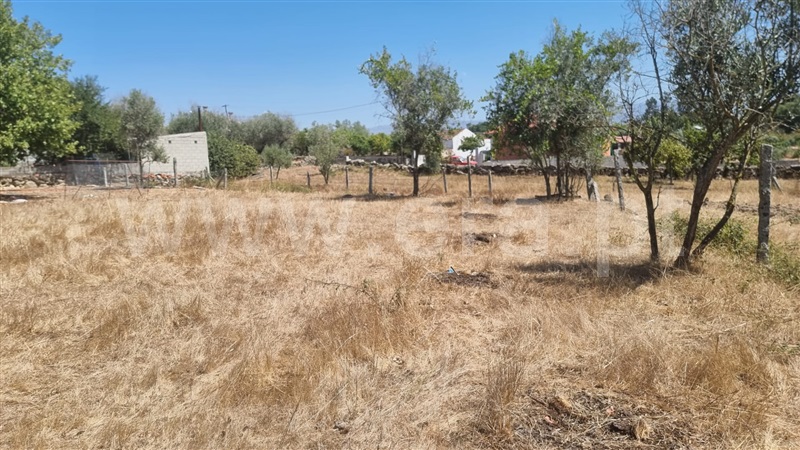 Terreno / Seia, Paranhos