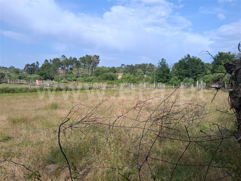 Terreno / Seia, Paranhos