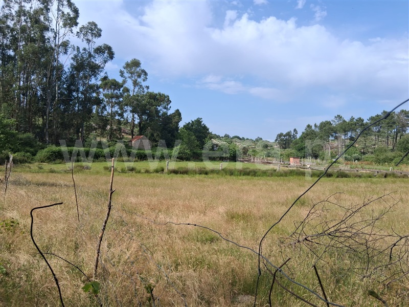 Terreno  Seia, Paranhos - 1488871 - 2
