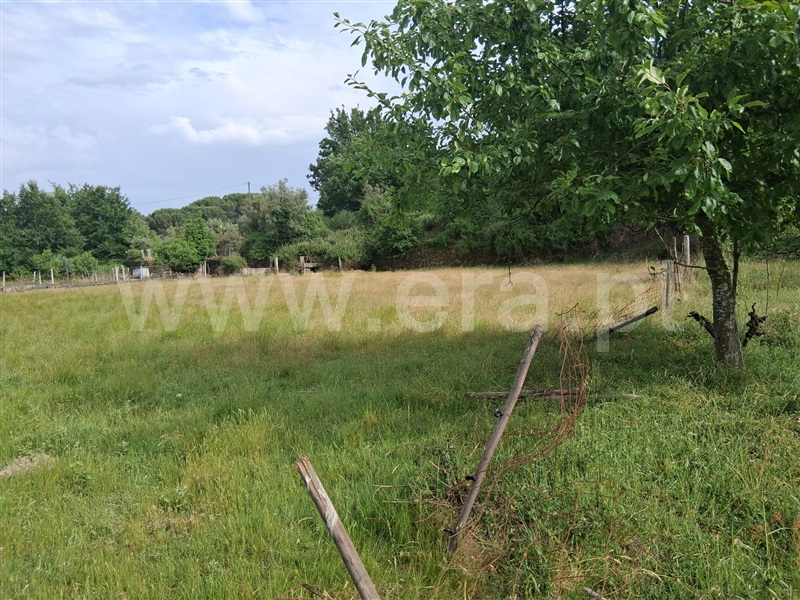 Terreno  Seia, Paranhos - 1488871 - 3