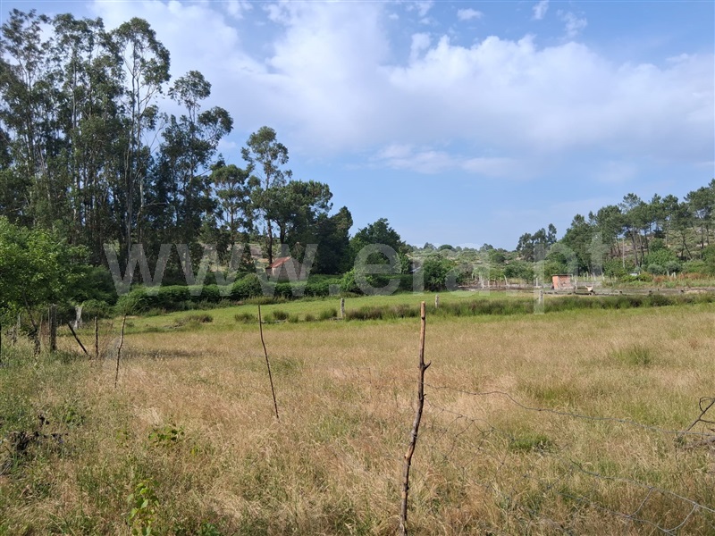 Terreno  Seia, Paranhos - 1488871 - 5